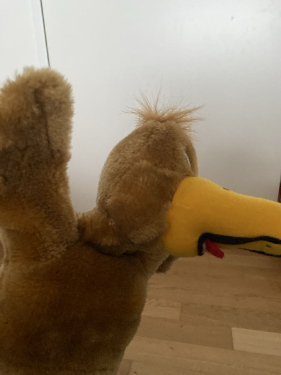 Bambole: Handpuppe Geier oder Kondor – Usato da Zürich venduto da Manuelemilie 1