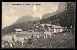AK Brienz, Axalp, Hotel Axalp, Oetschikopf und Axalphorn