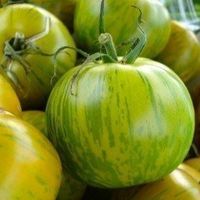 TOMATE GREEN ZEBRA  RARE 10g