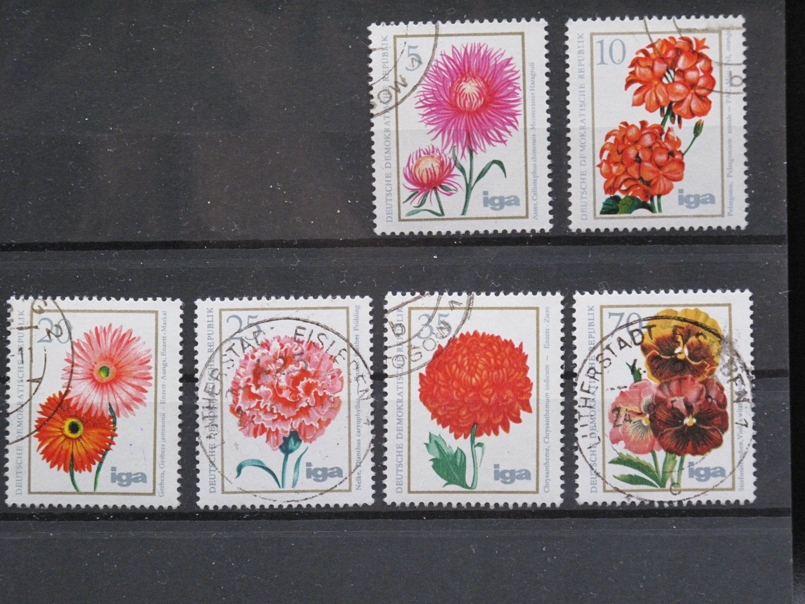 Tutti i francobolli: DDR 1975 Blumenzüchtungen gest. – Usato da Wil SG venduto da fva01