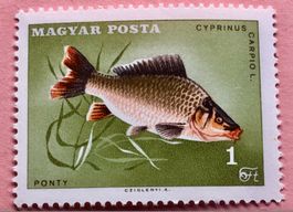 Briefmarken aus Ungarn  UNGESTEMPELT Siehe Original Fotos. 