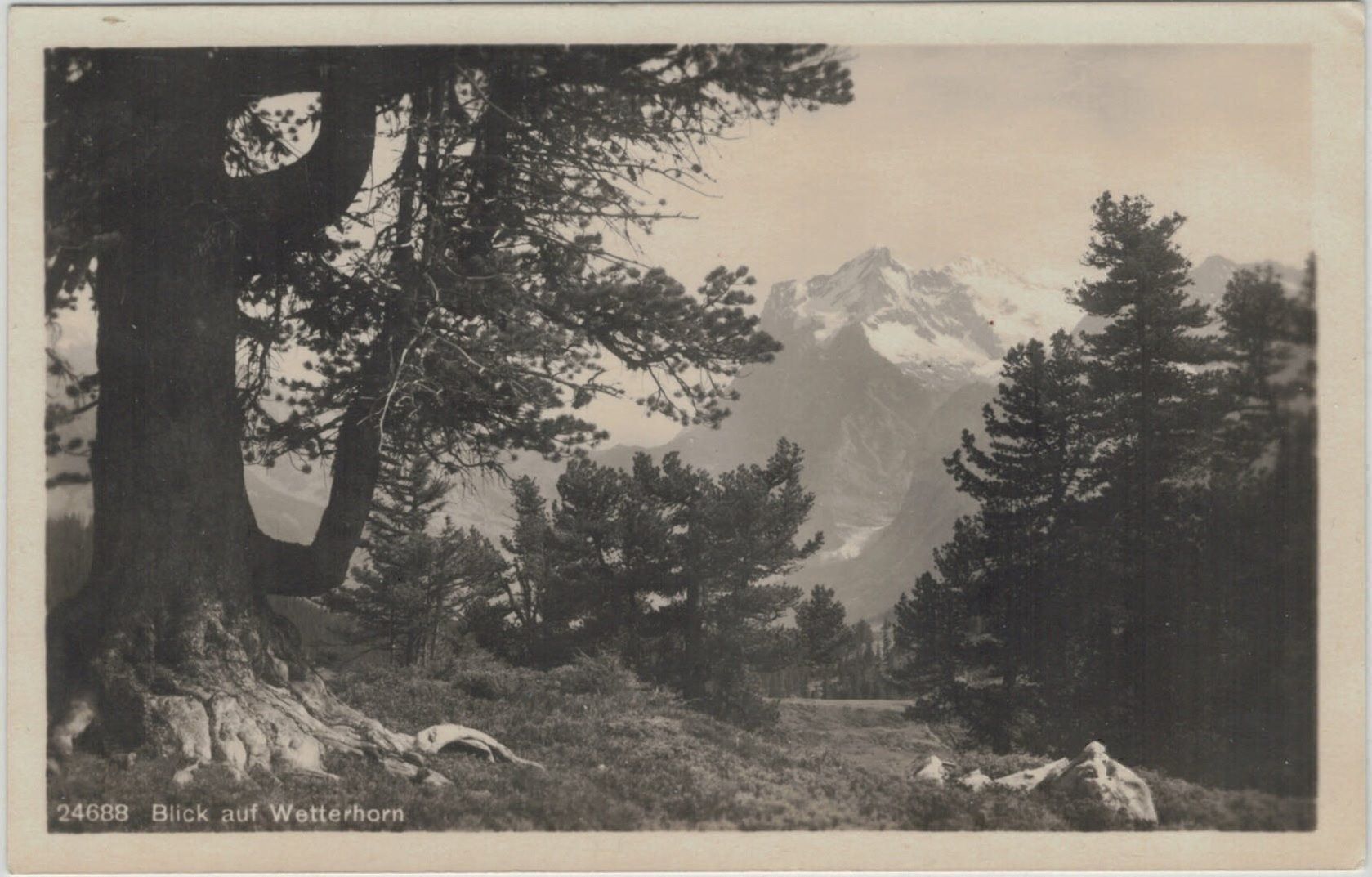 Ansichtskarten: BE 2 Blick auf Wetterhorn – Neu (gemäss Beschreibung) aus Fribourg von philafri