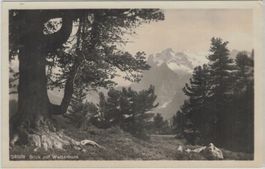 BE 2 Blick auf Wetterhorn