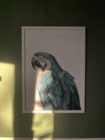 Bilderrahmen mit Poster 
