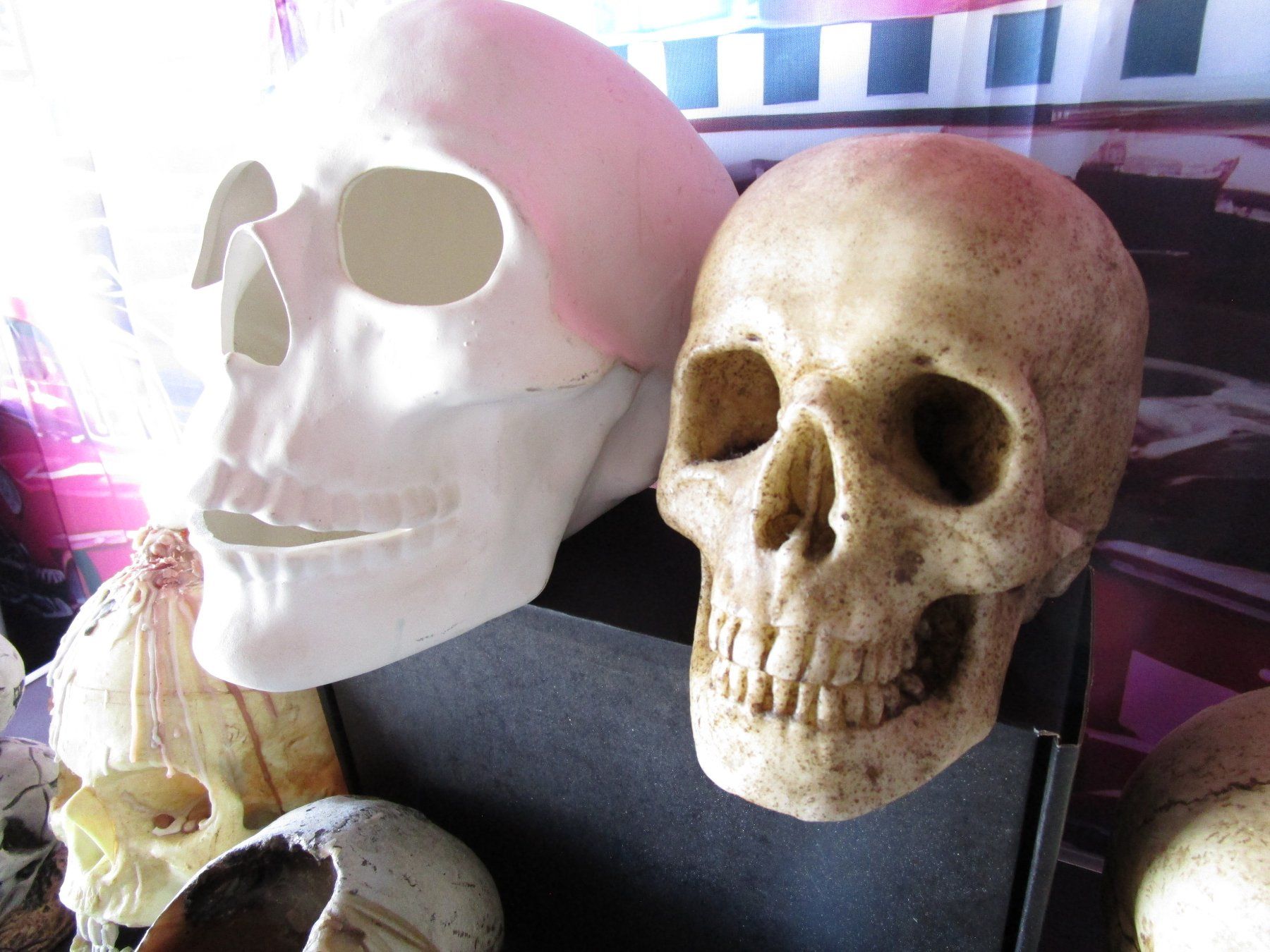 Tutte le decorazioni: Totenkopf  Schädel  Sammlung – Usato da Ermatingen venduto da Kobold007 4