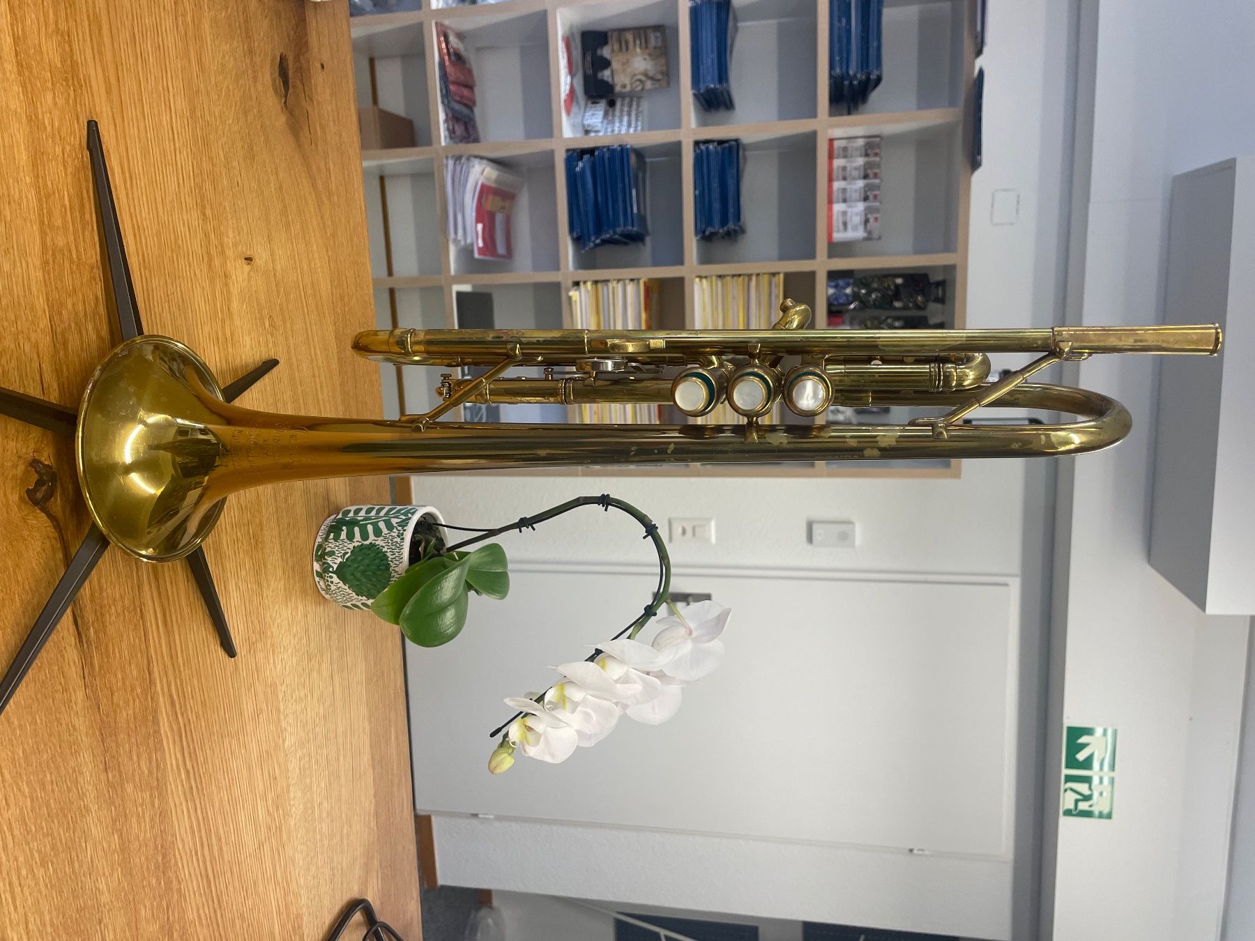 Strumenti musicali: Bb-Trompete Olds "Mendez" – Usato da Bern venduto da Daretobereal 2
