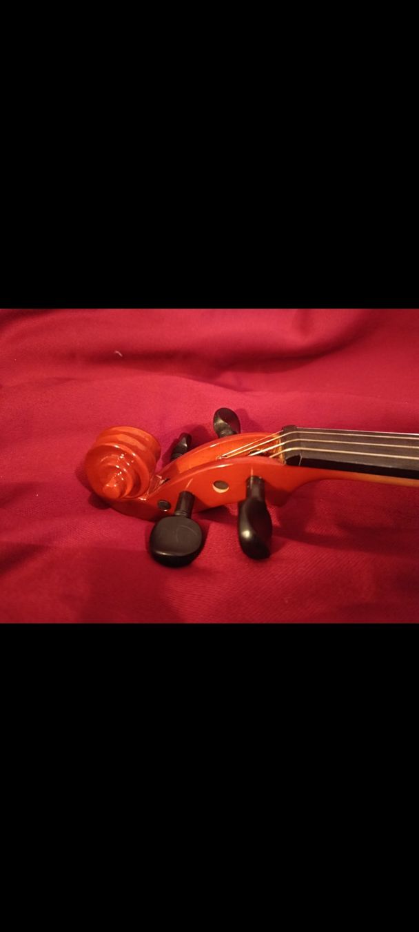 Musikinstrumente: Violon électrique gewa line 4/4 – Gebraucht aus Sion von aur_ms9d 6