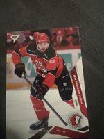 Sportzoo Basic Sammelkarte Erik Brännström