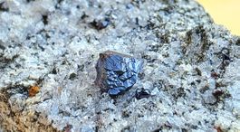 Knopfrutil auf heller Matrix. Magnetit mit Rutil Binntal