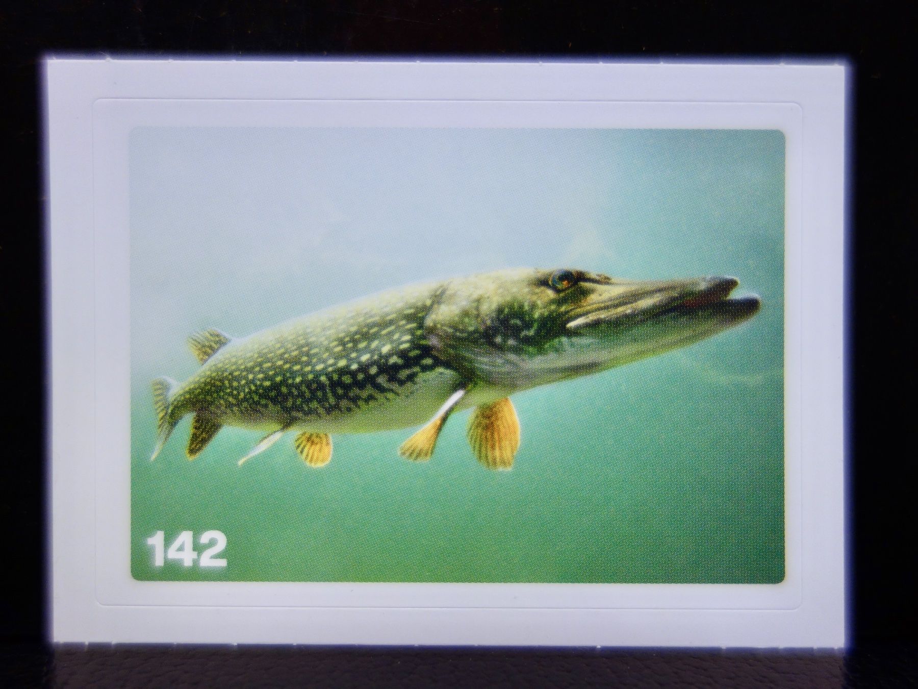 Migros Sammelbilder & Trading cards: MIGROS MANIA Nature Detectives Nr. 142 – Neu und originalverpackt aus Kerzers von djstarsky73