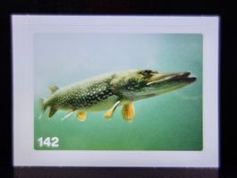 MIGROS MANIA Nature Detectives Nr. 142