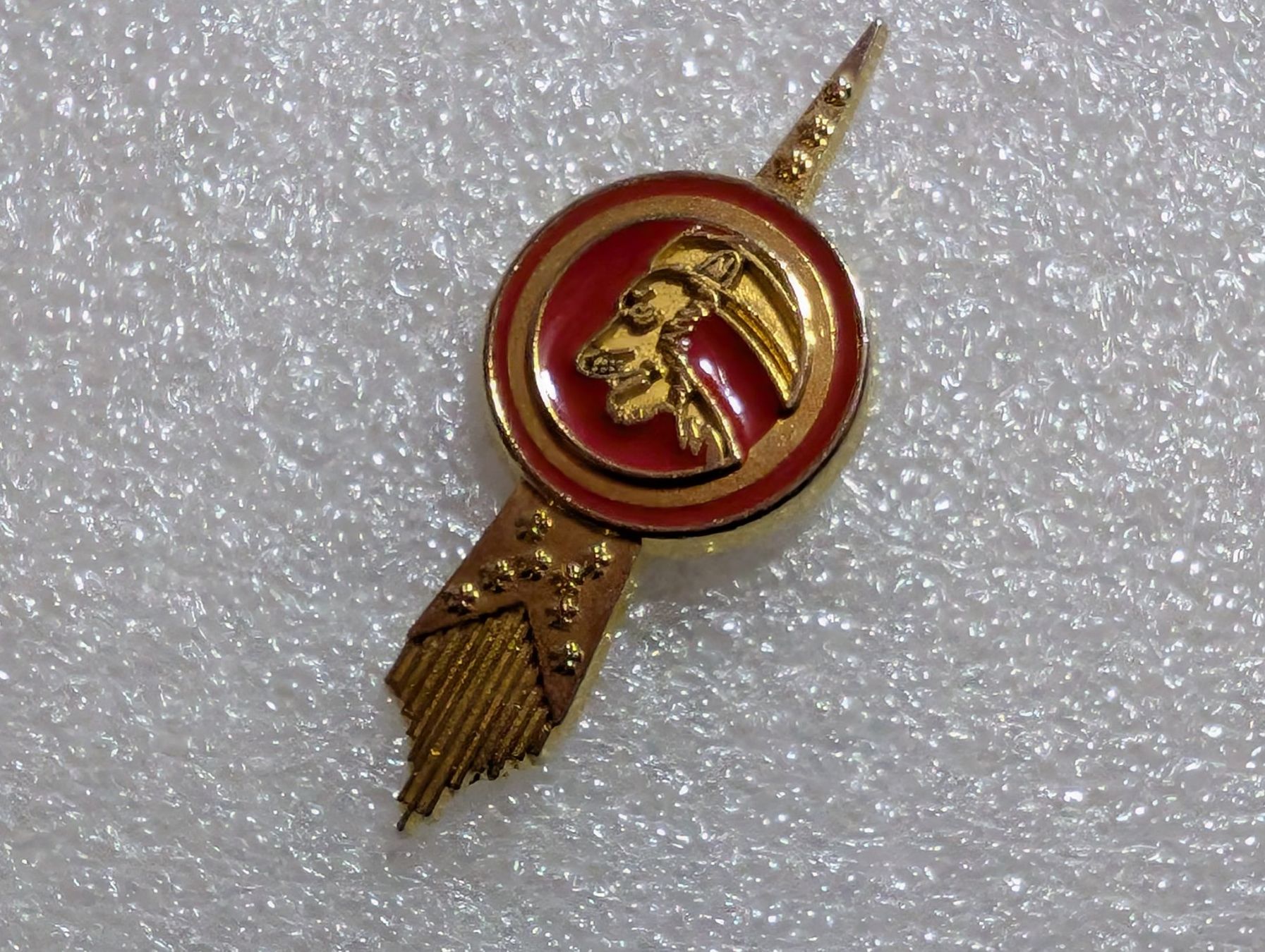 Plaketten & Abzeichen: Ansteckpin 147: Sternzeichen – Gebraucht aus Oppligen von Pin-Fall-Shop