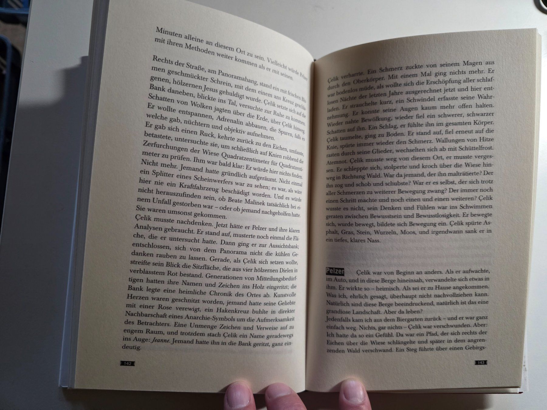 Libri: Celik & Pelzer - Kriminal Roman - 2010 – Usato da Walterswil BE venduto da Lonitti 8