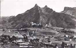 GRUYÈRES, dents de broc, chamois et bourgoz
