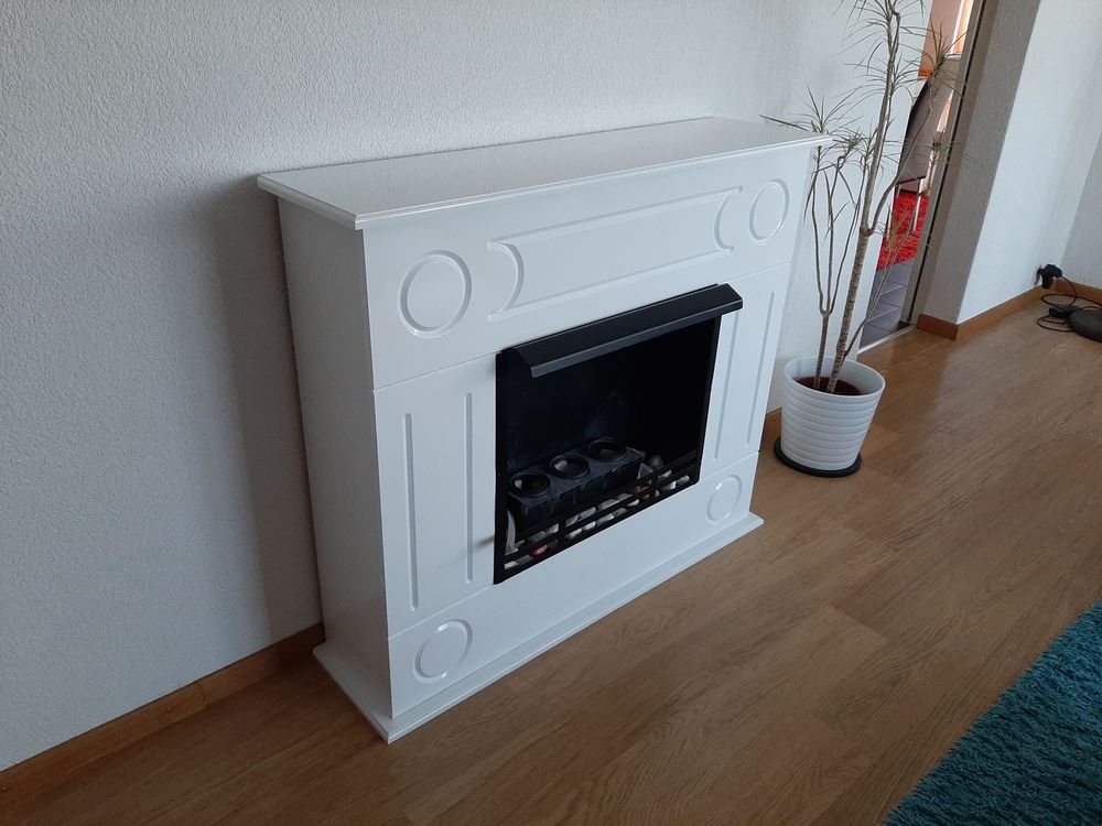Ethanol Kamin (Gebraucht) in Kreuzlingen für CHF 220 – nur Abholung auf ...