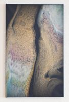 Pouring-Bild "Shining" 60x38 cm, Petra`s Art