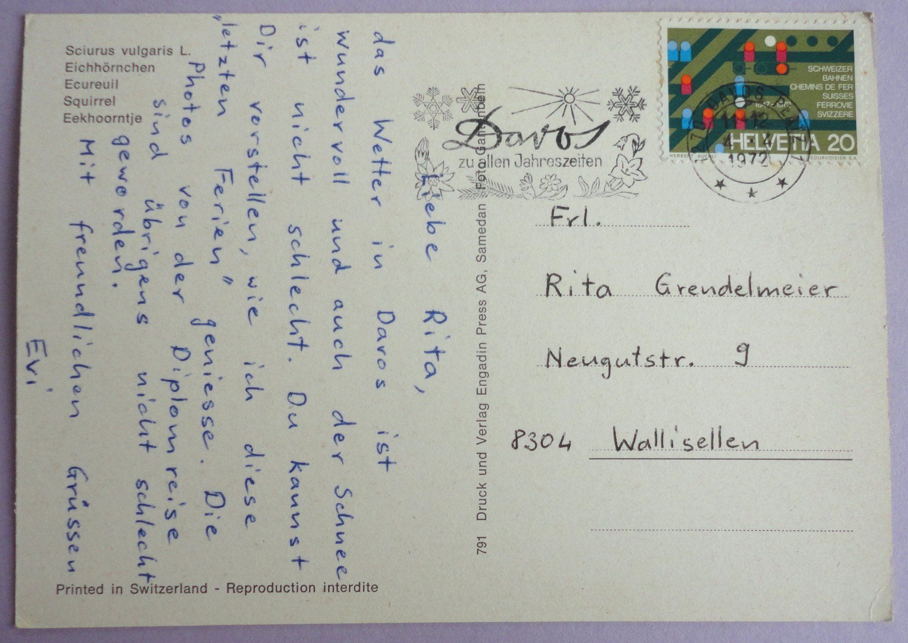 Cartes postales: Ecureuil – D'occasion à Fétigny par Billy2miny 1
