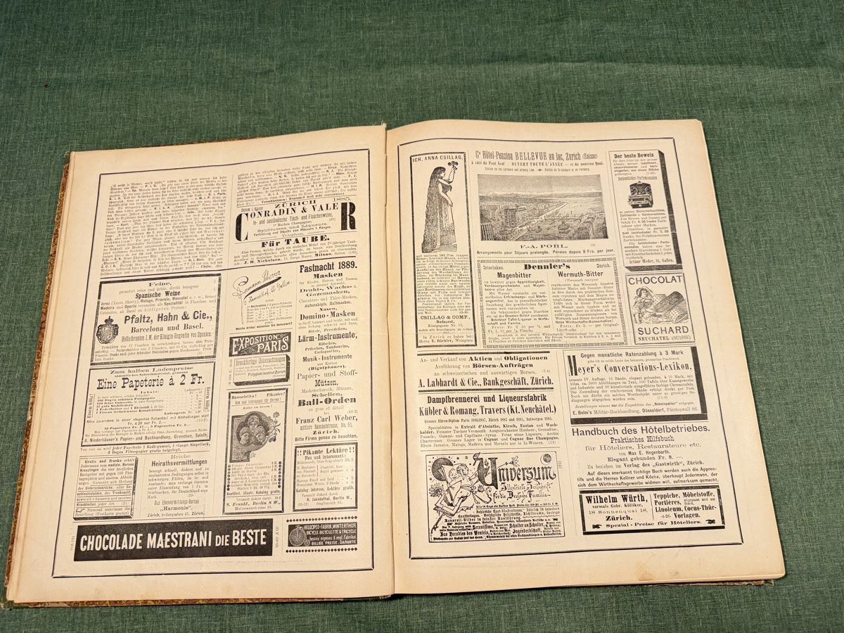 Bücher: Nebelspalter antik gebunden 1889 – Gebraucht aus Rüdlingen von Lichee 9