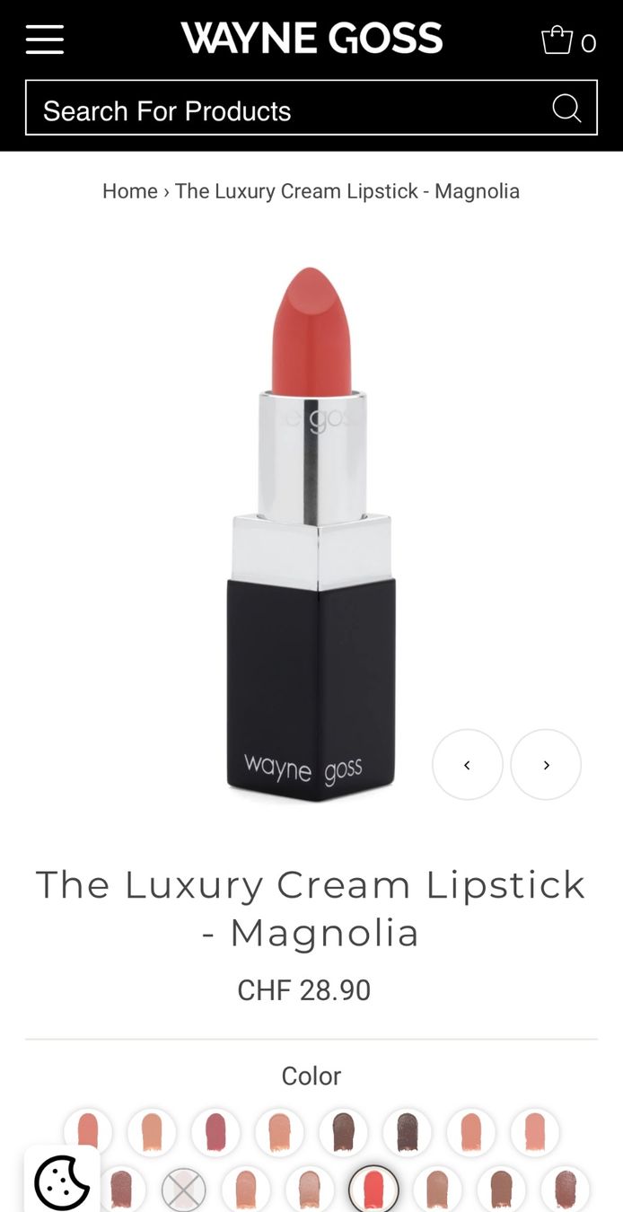 Make-up: Wayne Goss Gloss,neu, Ladenpreis 22$ – Neu und originalverpackt aus Zürich von deruja 7