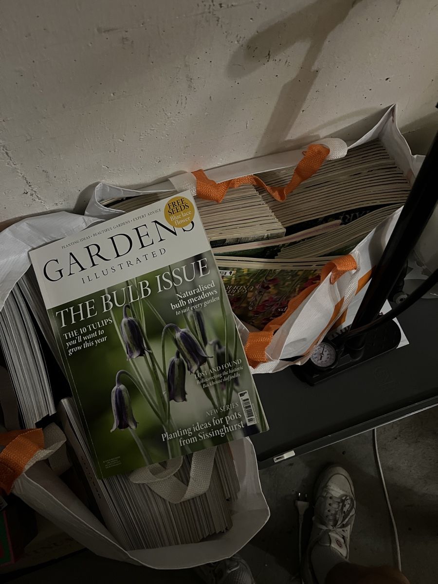 Riviste & Magazine: Grosse Sammlung AD und GI – Usato da Zürich venduto da nikki_ 2