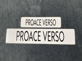 Schild von Pro Ace Verso  wie Autonummer 