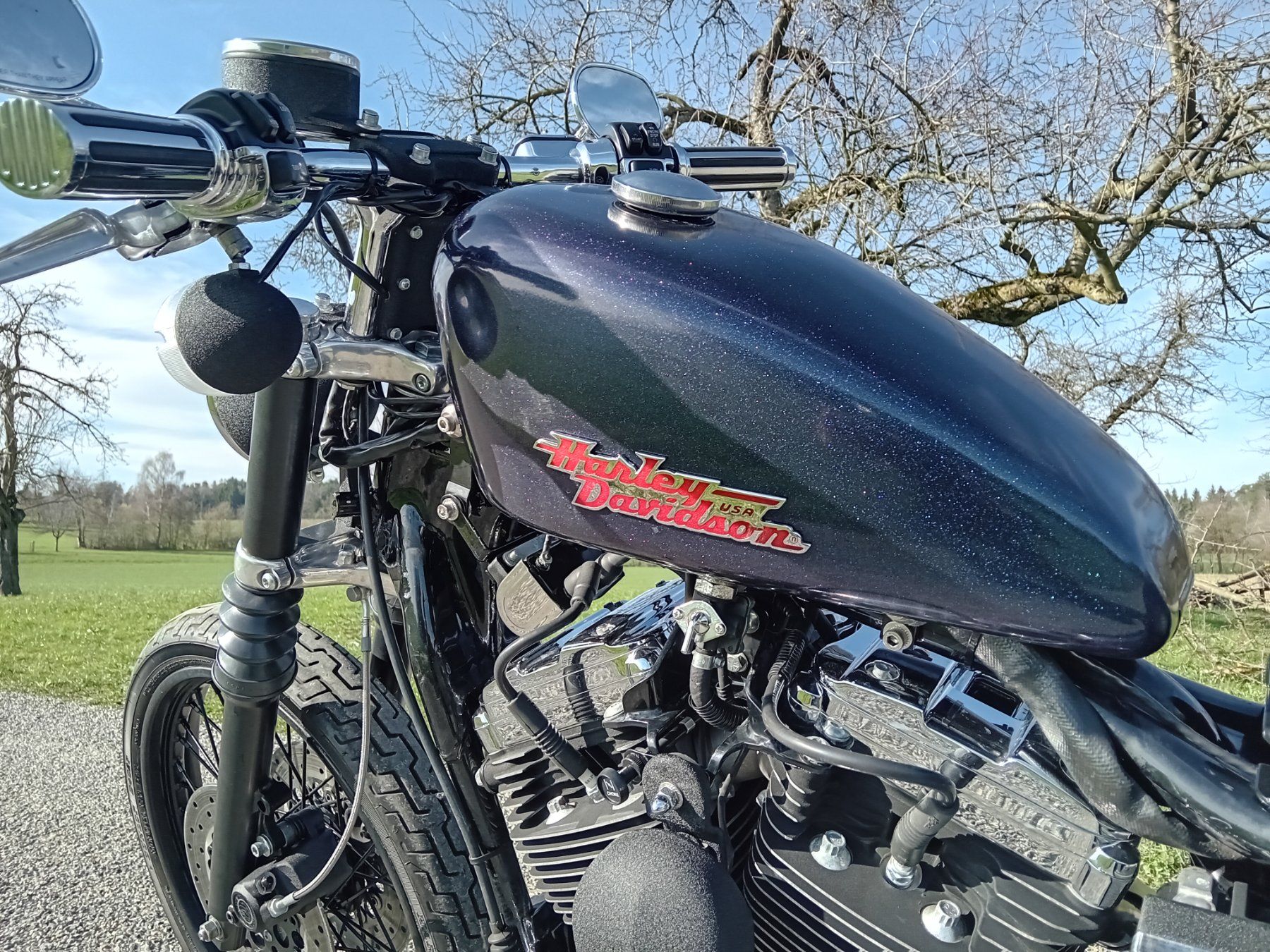 Chopper: Harley Davidson Sportster XL1200C – Usato da Langrickenbach venduto da matchless666 6
