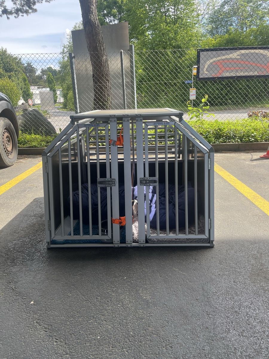 Gabbie, trasporto & Sicurezza: Doppelhundebox Schmidt – Usato da Wiler b. Seedorf venduto da Ammonitlein