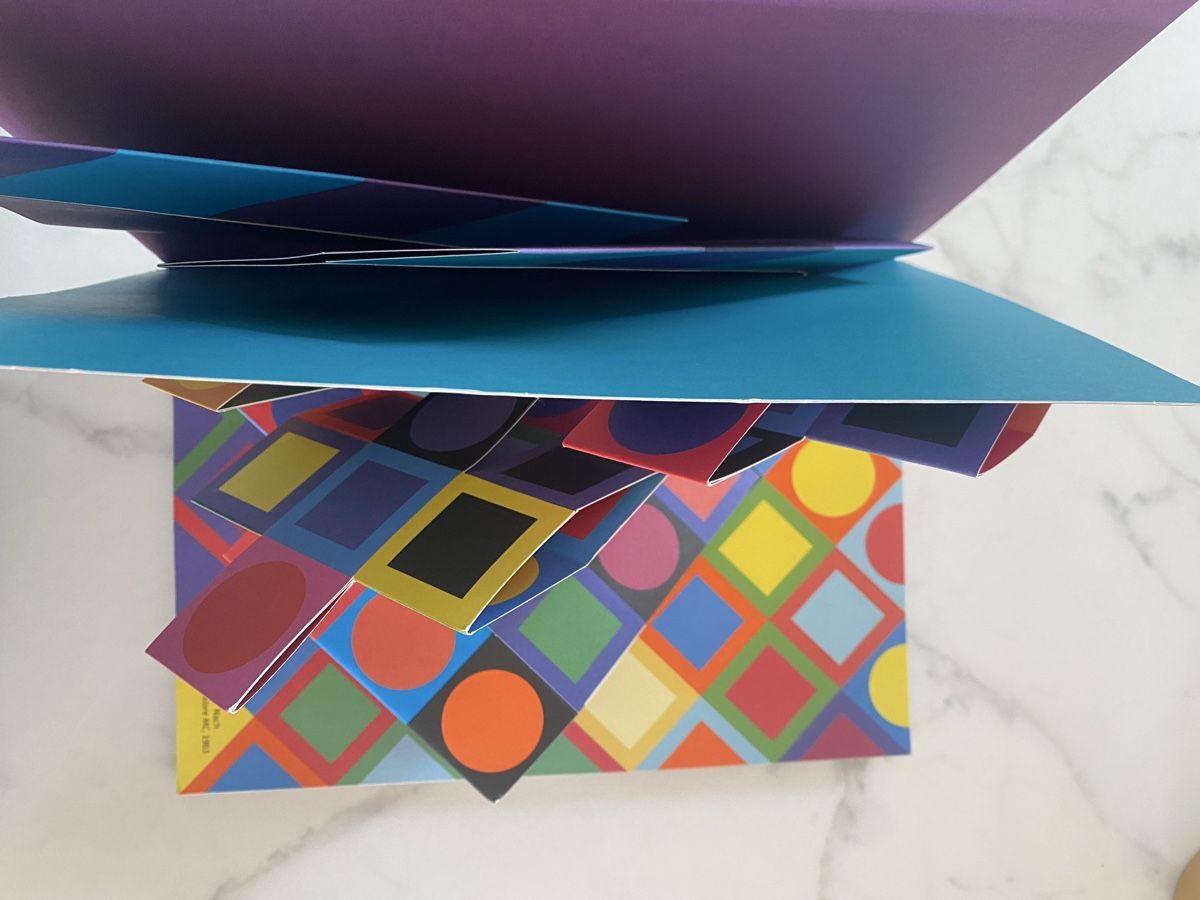 Libri: Pop op buch vasarely – Nuovo (secondo la descrizione) da burgdorf venduto da kaethiduebi 1