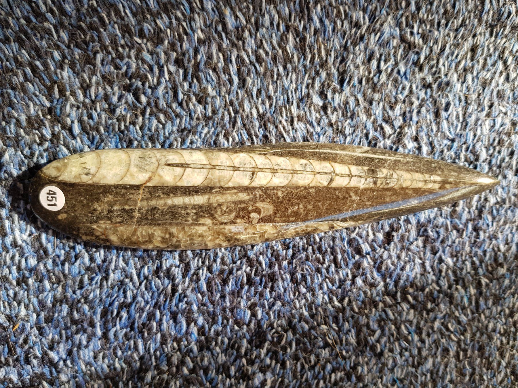 Fossili: Orthoceras 1 – Nuovo (secondo la descrizione) da Schwanden-Brienz venduto da Testudo06