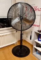 Ayce Standventilator (80cm)