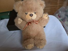 Plüschtier Teddy siehe Foto