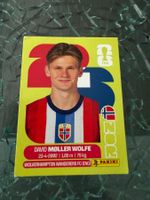 WM 2026 - Panini - David Moller Wolfe - NOR 7