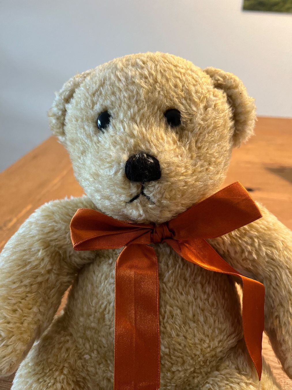 Giocattoli: herziger Teddybär – Usato da Wohlen AG venduto da momo_1973 1