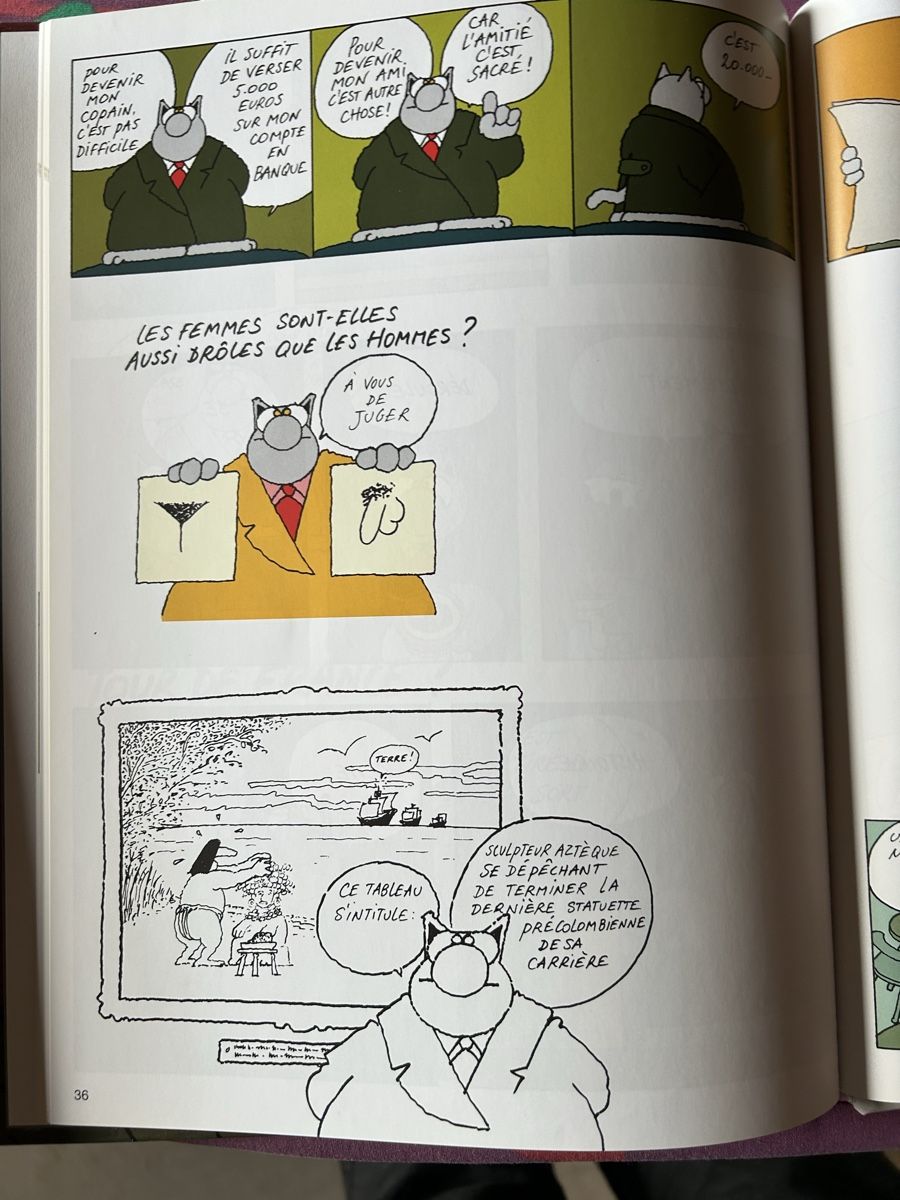 Fumetti: BD Le Chat de Geluck - La Vengeance du Chat Casterman – Usato da St-Cierges venduto da Crisi53 3