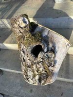 Vogelhaus aus Baumstamm naturbelassen akzeptabler Zustand
