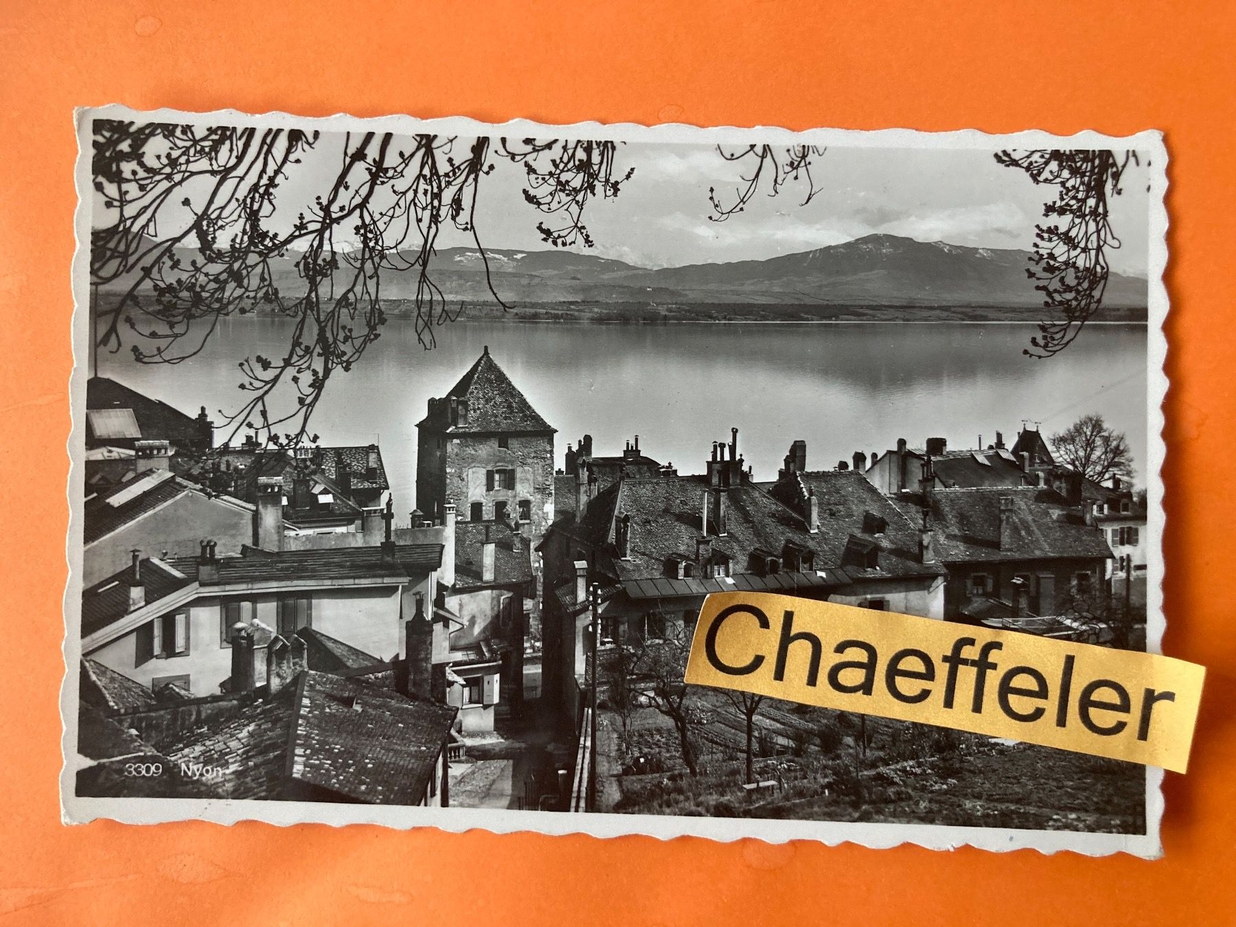 Cartoline postali: 3309 Nyon – Usato da Zürich venduto da Chaeffeler