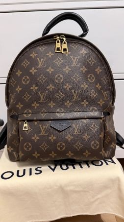 ❣️Ab 100.- Original Louis Vuitton Palm Springs MM Rucksack