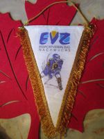 EV ZUG NACHWUCHS EIHOCKEY WIMPEL MITTEL GROSS ANTIK