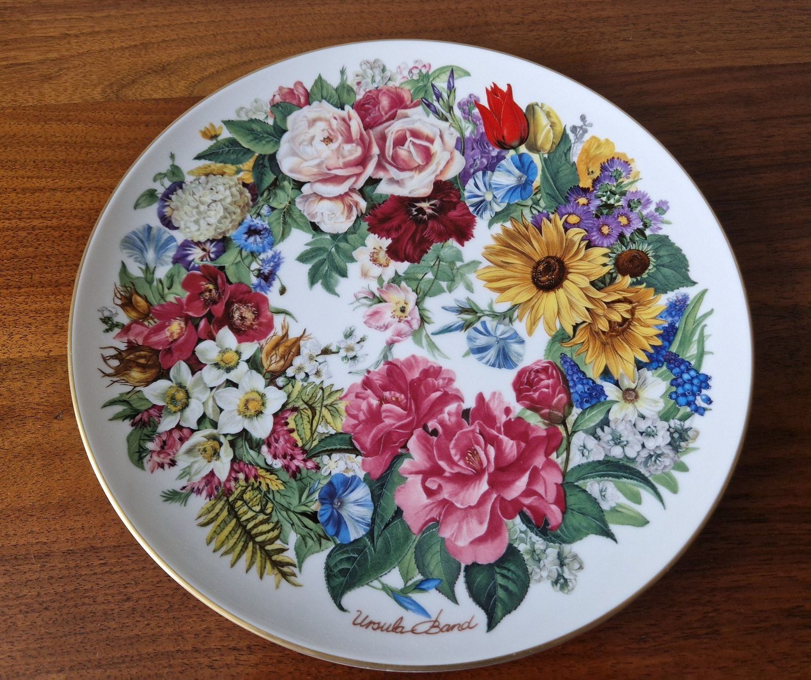 Hutschenreuther Teller: Sammelteller/Wandteller Hutschenreuter – Neu (gemäss Beschreibung) aus Bern von Antikbatik 9