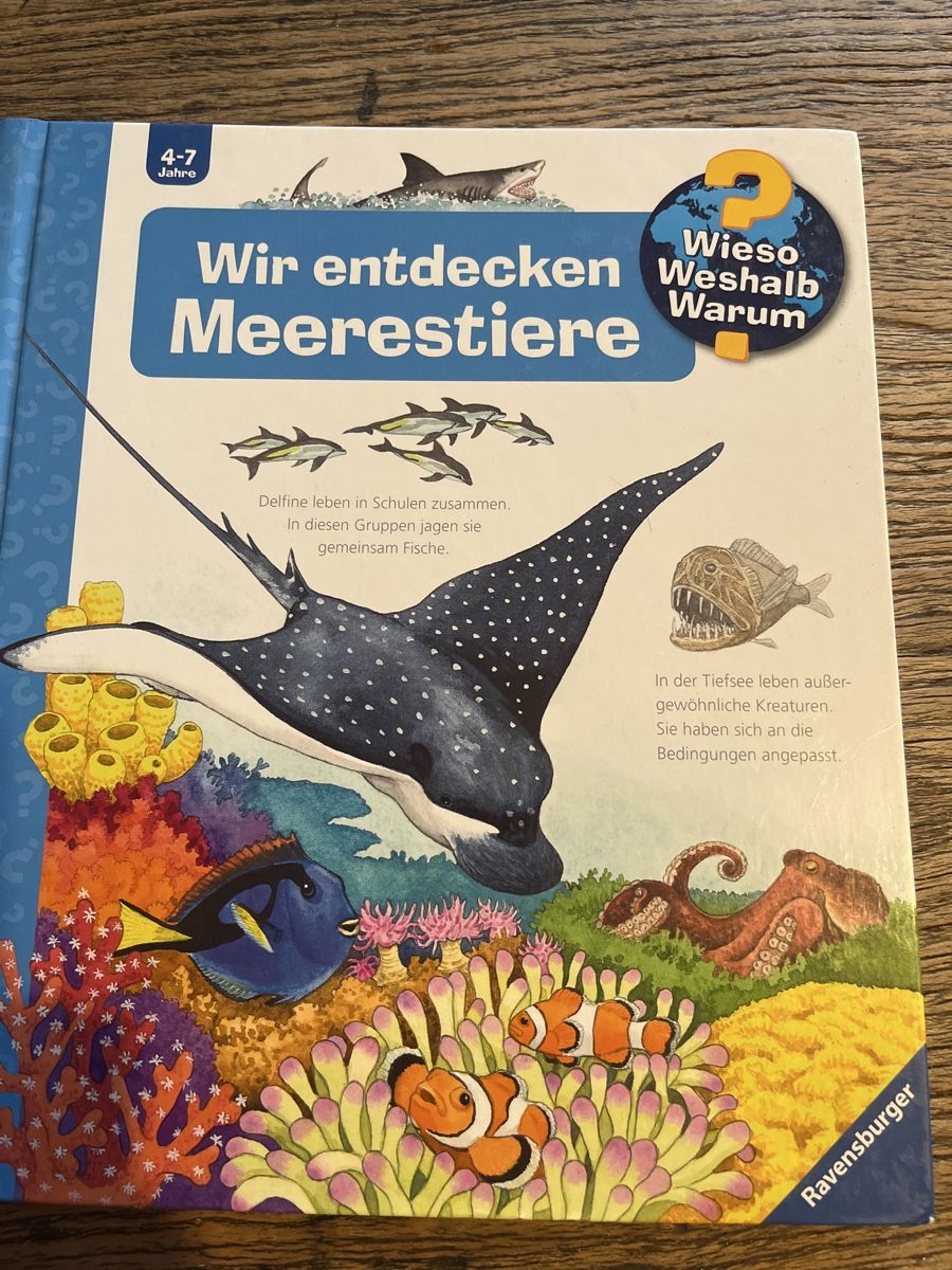 Libri: 4 Kinderbücher "Wir entdecken" von Ravensburger – Usato da Zürich venduto da leoverload 3