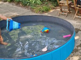 Faltbarer Kinder-/Haustierpool, mit Abdeckung, Trixie 160x30