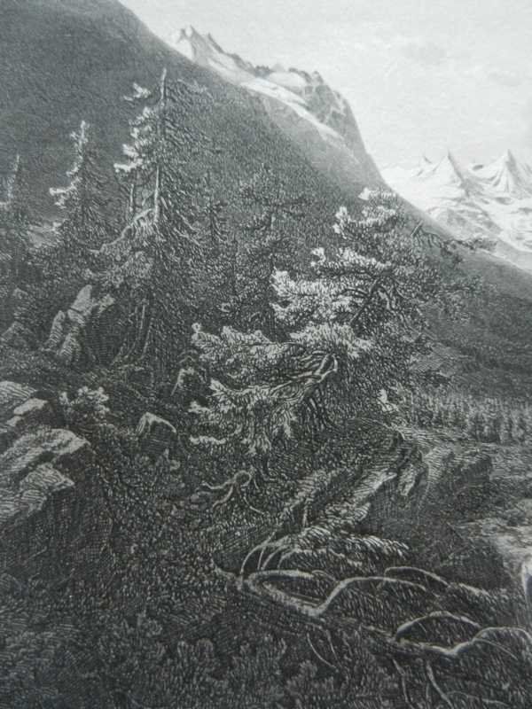 Incisioni: Roseg Gletscher Engadin – Usato da Risch venduto da Rischli15 3