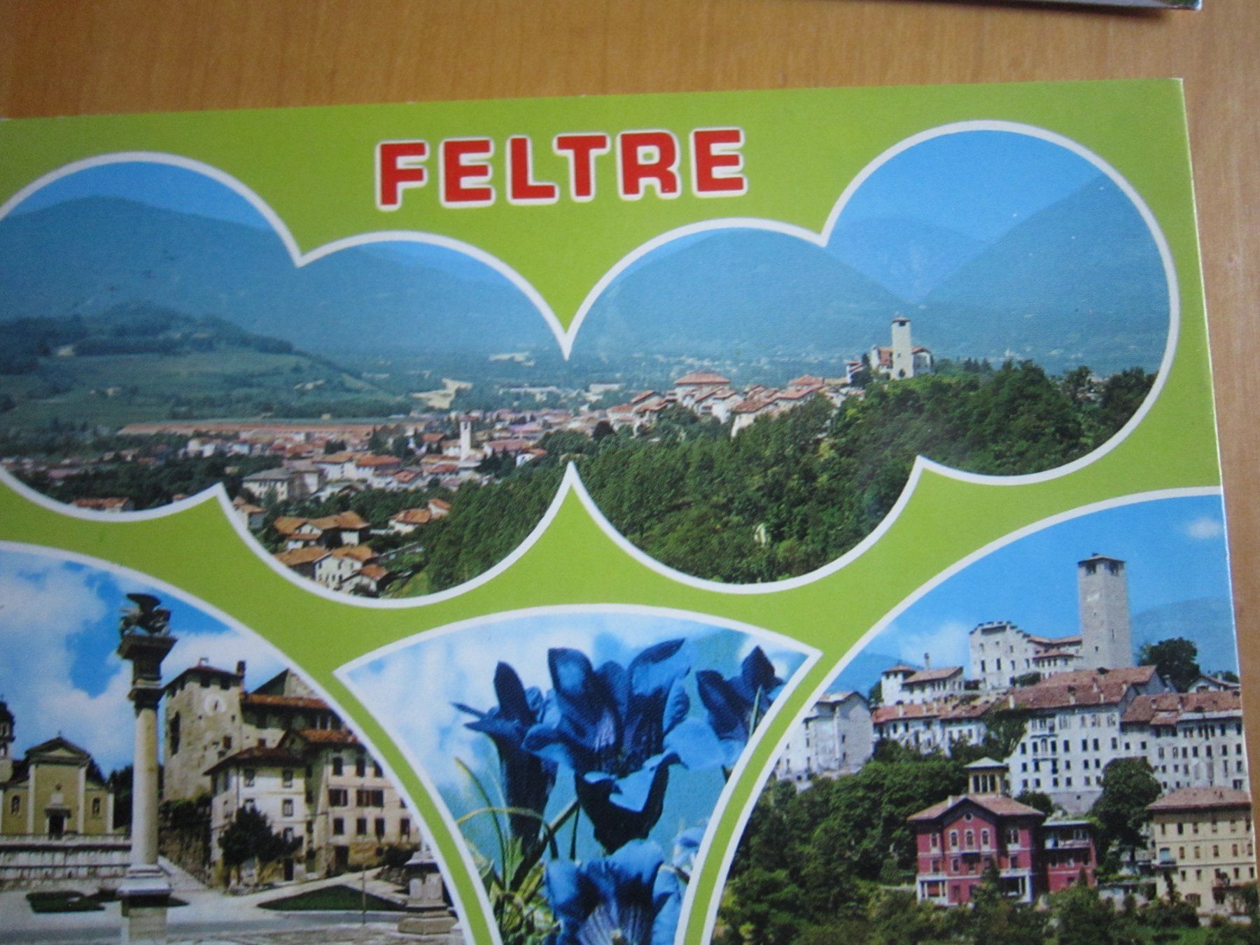 Ansichtskarten: No 16 Schöne Postkarten FELTRE – Gebraucht aus Gordola von Polentaefung 5