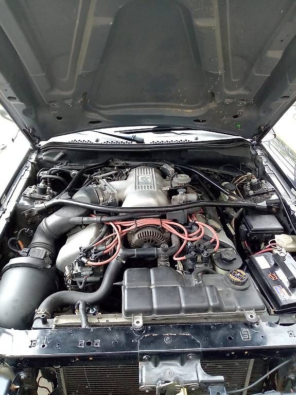 Autos: Ford Mustang SVT Cobra – Gebraucht aus Payerne von reg_8pvb 2