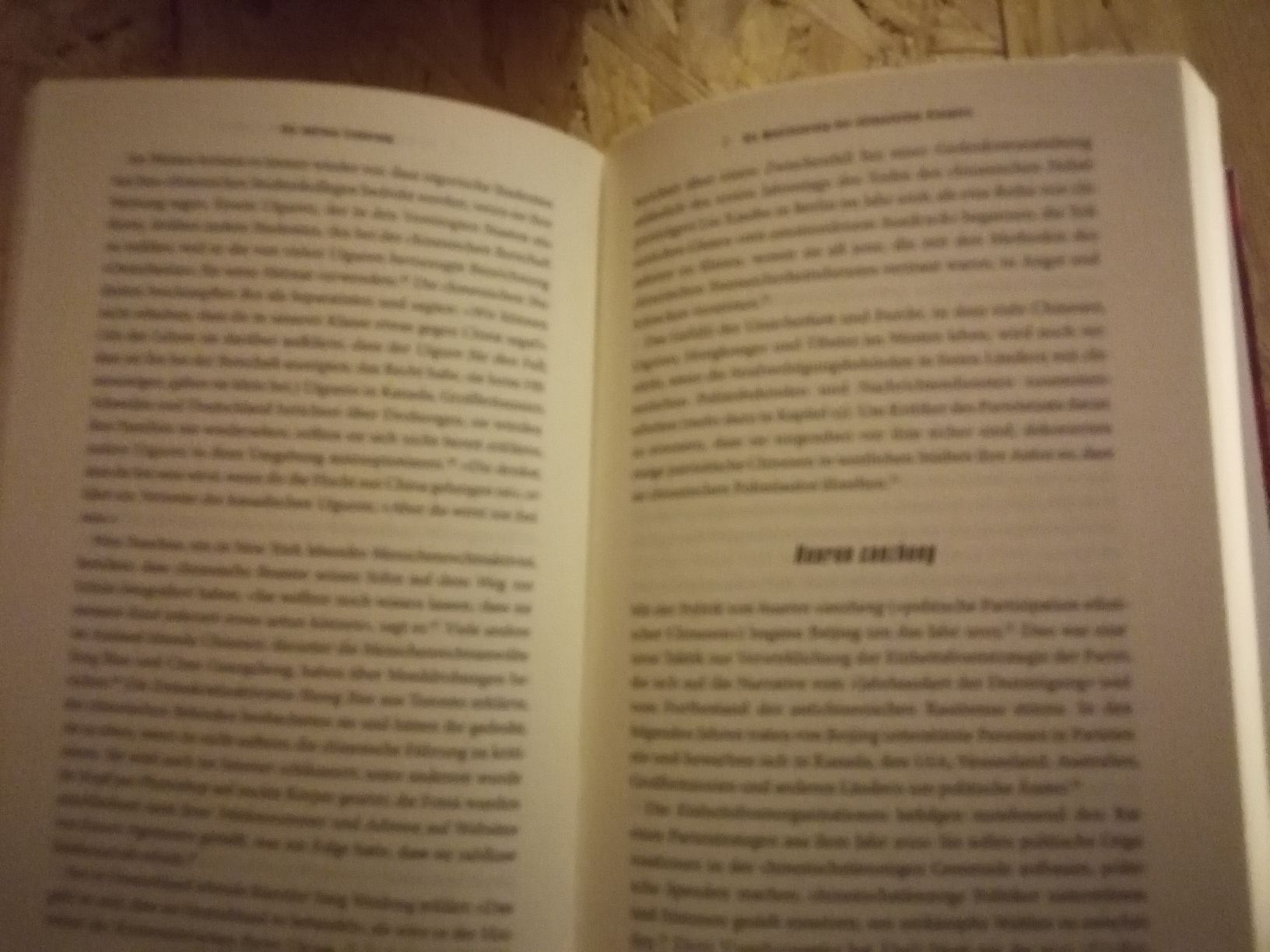 Libri: Die lautlose Eroberung. Mareike Ohlberg. Clive Hamilton.  – Usato da Wahlen b. Laufen venduto da Aweiss 1