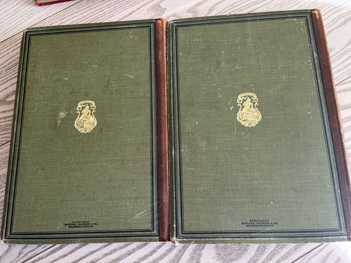 Libri: Die Kriegstaten der Schweizer - 2 Bände 1904 – Usato da Romanshorn venduto da Apfelschuss 7