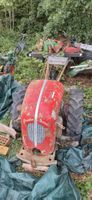Grunder-Diesel Einachser 