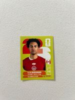 Panini CAN 17