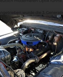 Ford Automobili: Ford F100 – Usato da Niedergösgen venduto da Arwen99 6