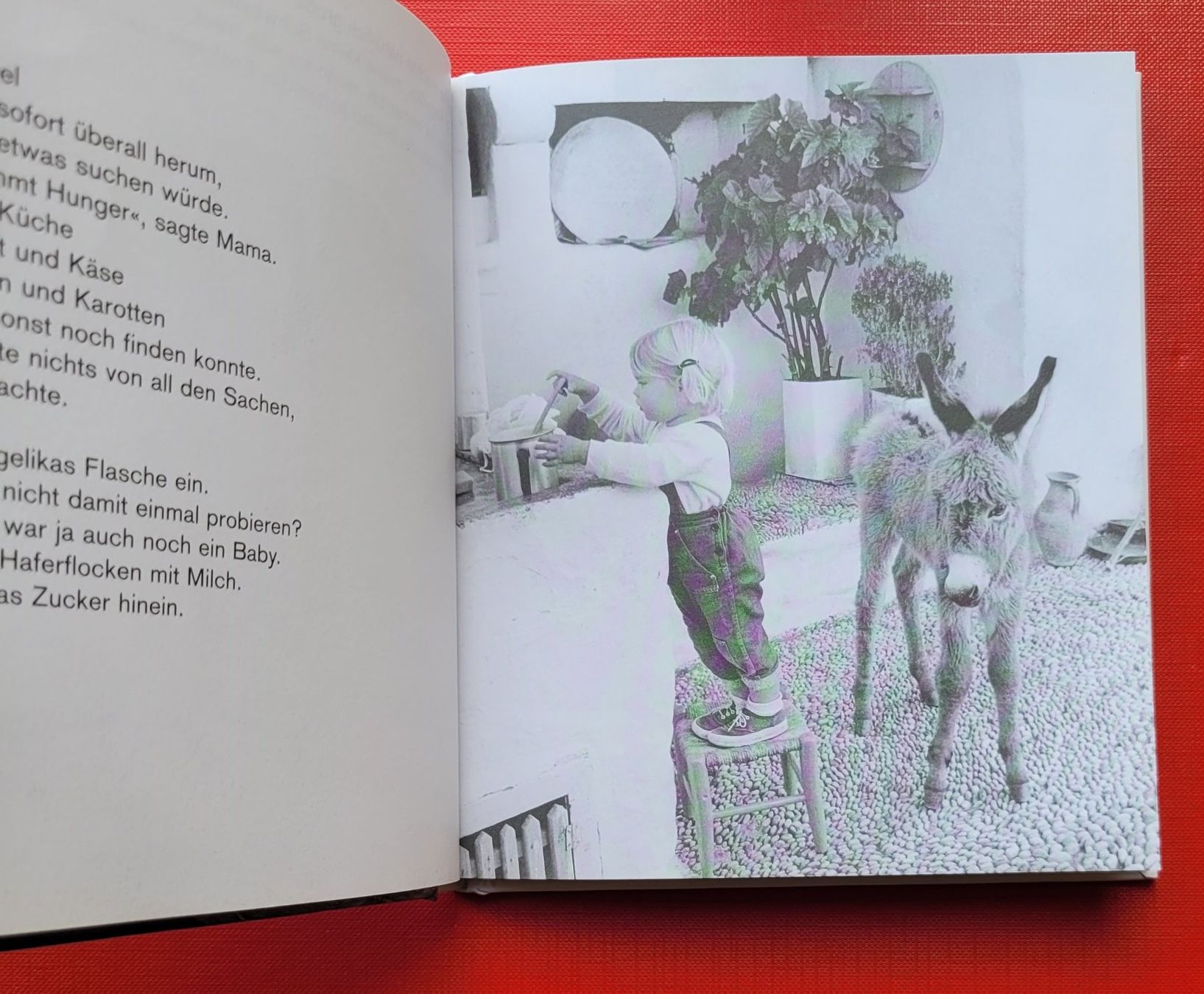 Bücher: Mein Esel Benjamin – Gebraucht aus Zürich von Avd 5